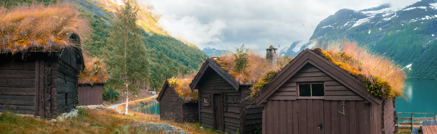 Quaint brown Norwegian mountain huts with organic fuzzy living roofs nestled beside a mountainside and a turquoise fjord 